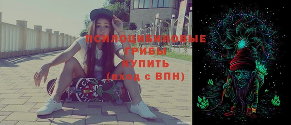 прущая мука Инсар