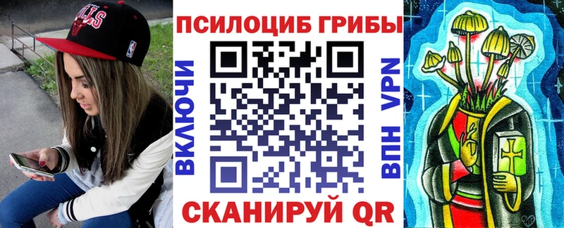 Купить  Серафимович  Псилоцибиновые грибы GOLDEN TEACHER 